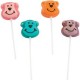 Monkey Lollipop (12-pack)