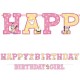 Minnie Mouse 1st Birthday Letter Banner Combo (Each)