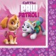 Paw Patrol Pink Luncheon Napkins