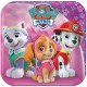 Paw Patrol Pink Cake Plates