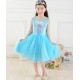 Frozen Elsa Princess Dress 