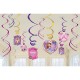 Sofia the First Swirl Decorations