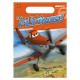 Disney Planes Loot bags