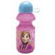 Disney Frozen Bottle With Cap