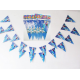 Disney Frozen Elsa/Anna party decoration triangle flags banners kits