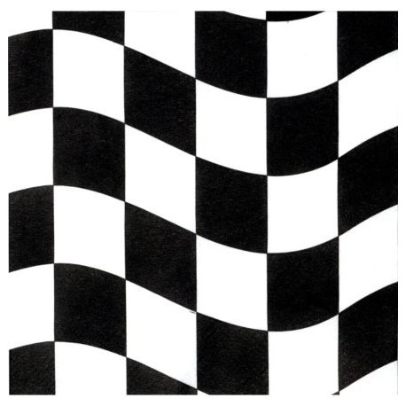 Racing Party Napkins (18-pack)